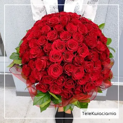 Telekwiaciarnia Kielce - florystyczna poczta, kwiatowa dostawa